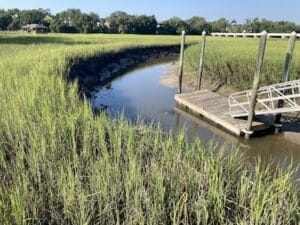 salt marsh (1)