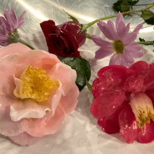 CAMELLIAS