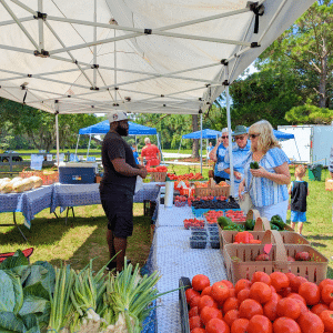 Farmers Market